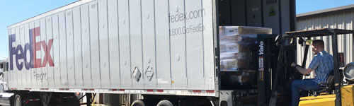 Step Four: Mail Processing and Delivery